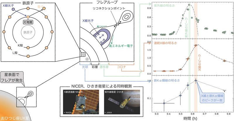 恒星フレアの鉄輝線はどう生じるのか？―X線と紫外線の同時観測で起源を